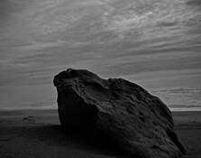 Of Rocks and Driftwood No.3 (Romancing the Stone) by Sonia Melnikova-Raich
