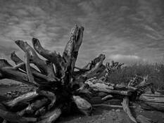Of Rocks and Driftwood No.8 (Matter of Scale) by Sonia Melnikova-Raich