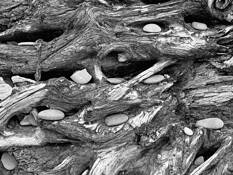 Of Rocks and Driftwood No.11 (Offering) by Sonia Melnikova-Raich