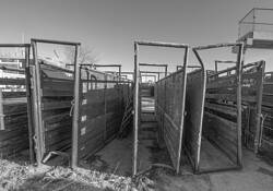 Chutes by James Esten