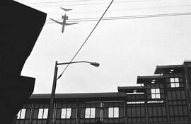 Woodside by Wayne Palmer