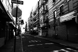 Anyone See the People by Robert Levine