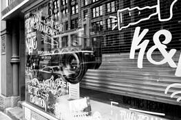 Reflections by Robert Levine