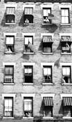 People in Windows by Jack Feder