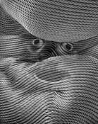 Rope Man by Karl Leck