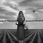 Go Where I Cannot by Jane Vickers