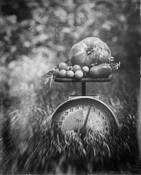 Heirloom by Ellen Ingram