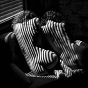 Striped by David Robertson