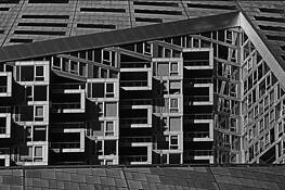 Within View by Carlton Johnson