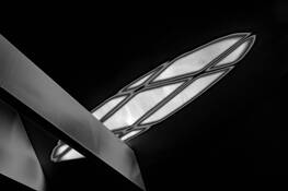 Interconnection by Anne Eigen