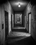 No One Left by Andrew Weinstein