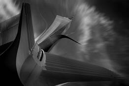 Blooming by Stephane Graciet