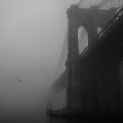 Lost in the Fog by Stephane Graciet