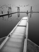 Frosted Pier 1 by Terry Donnelly