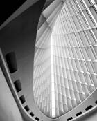 Wings by SharonHoffmann