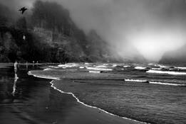 Oregon Coast 9 by William Dusterwald