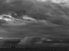 Fearless by James Manfredonia