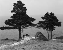 Gallows Cove No. 5 by Gerald Pisarzowski