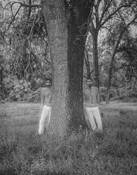 Fall 1975 by Steve Dzerigian