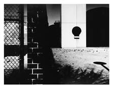 Shadow Play by Carol Hausmann
