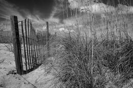 Beach by James Bailey