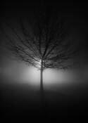 Heavy Fog by James Bailey