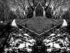 Path Less Traveled by William Dusterwald