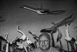 It's a Bird and It's Not #4 by Arkadiusz Kubisiak