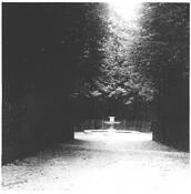 Secret Garden by Taiwik David Chui