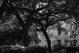 The Olde Pink House From Afar by Maneewan Vang