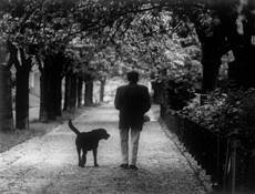 Untitled 9b by Alan Hans