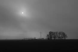 Polder Schermer by Linda Koopman