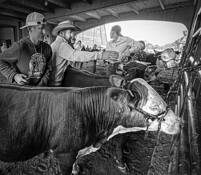 Minnesota State Fair 3 by Jerry Wiese