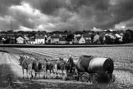 Treating the Fields by William R. West