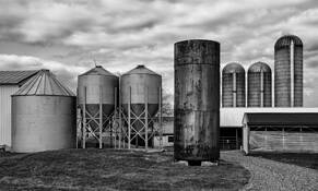Farm Silos by William R. West