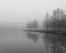 Morning Fog by James Bailey