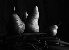 Pear Family by Aynsley Stelfox