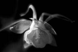 Untitled by Lee Ann McGuire