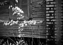 Home Place by Luke Anthony NeSmith