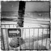 This Way to the Ocean by David Ruderman