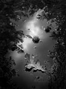 Twilight Reflection by Marcia Schulman Martin