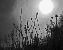 Break Thru by Marvin Seiger