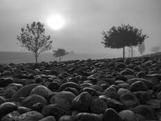 Foggy Morning by Gerry Limjuco