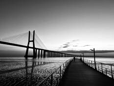 The Bridge by Jose Paulo Andrade