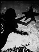 The Mermaid and the Starfish by Sandy Lloyd