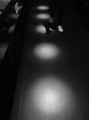 The Steps Towards the Inquistion by Scott Brock