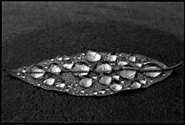 Leaf by Roy Pataro