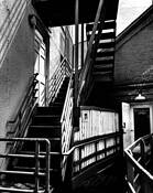 Gallery by William Dusterwald