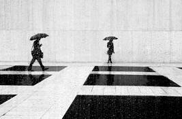 Rain by Ethel Kabourian