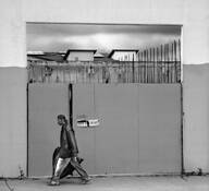 Guard Dogs on Duty by Lee Grossman